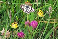 07 07 16_8628_edited-2